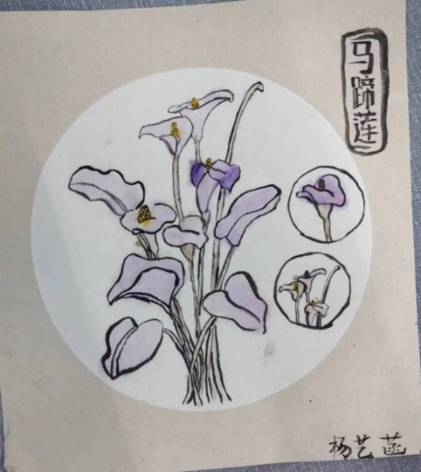 德赢Vwin官方区域合作伙伴