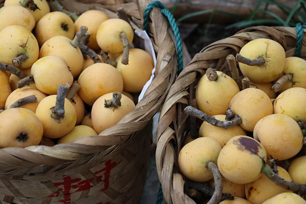 德赢Vwin官方区域合作伙伴