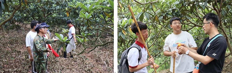 德赢Vwin官方区域合作伙伴