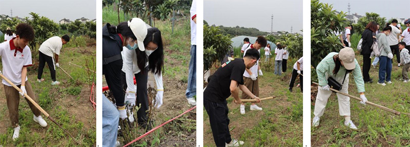 德赢Vwin官方区域合作伙伴