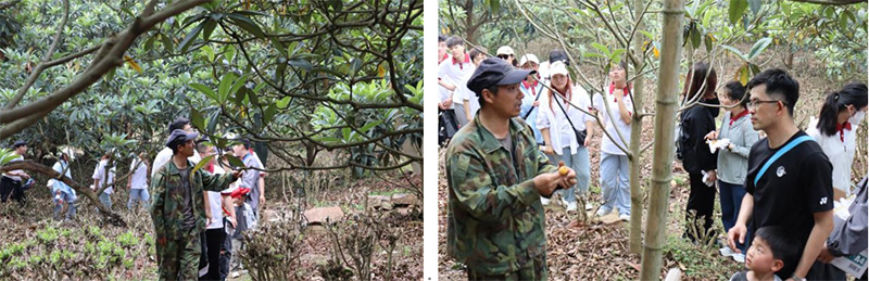 德赢Vwin官方区域合作伙伴